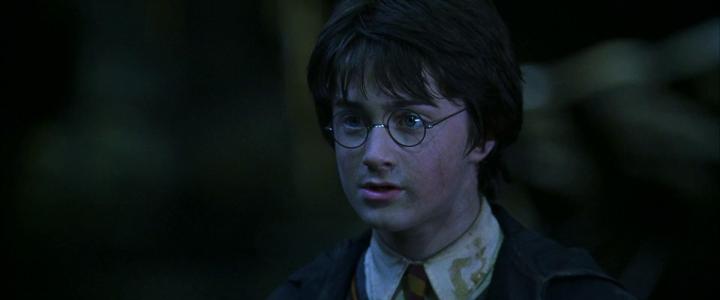 Daniel Radcliffe in Harry Potter and the Chamber of Secrets (2002)