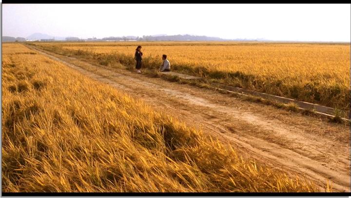 Memories of Murder (2003)