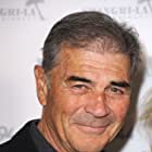 Robert Forster به عنوان Joe Harris