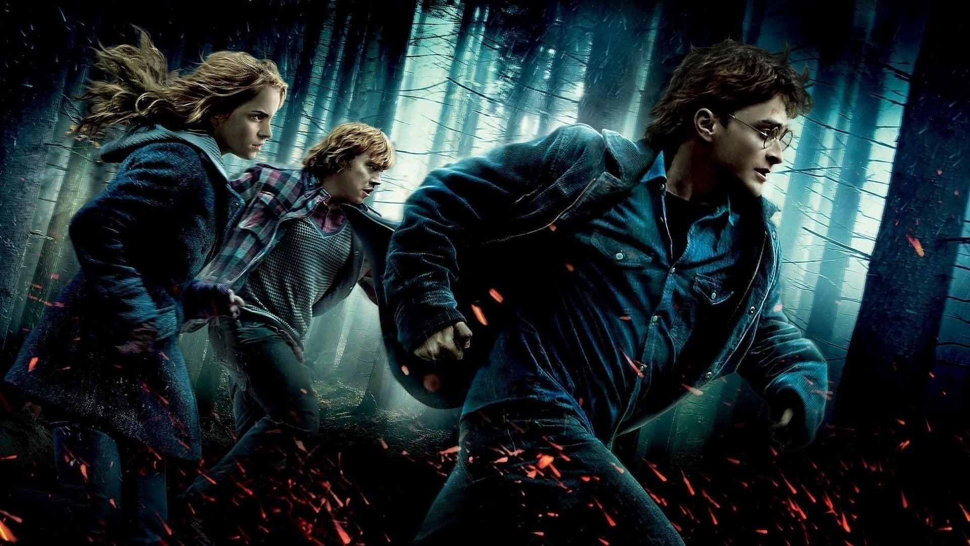 فیلم  Harry Potter and the Deathly Hallows: Part 1 2010 با زیرنویس چسبیده