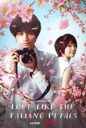 دانلود فیلم Love Like the Falling Petals 2022