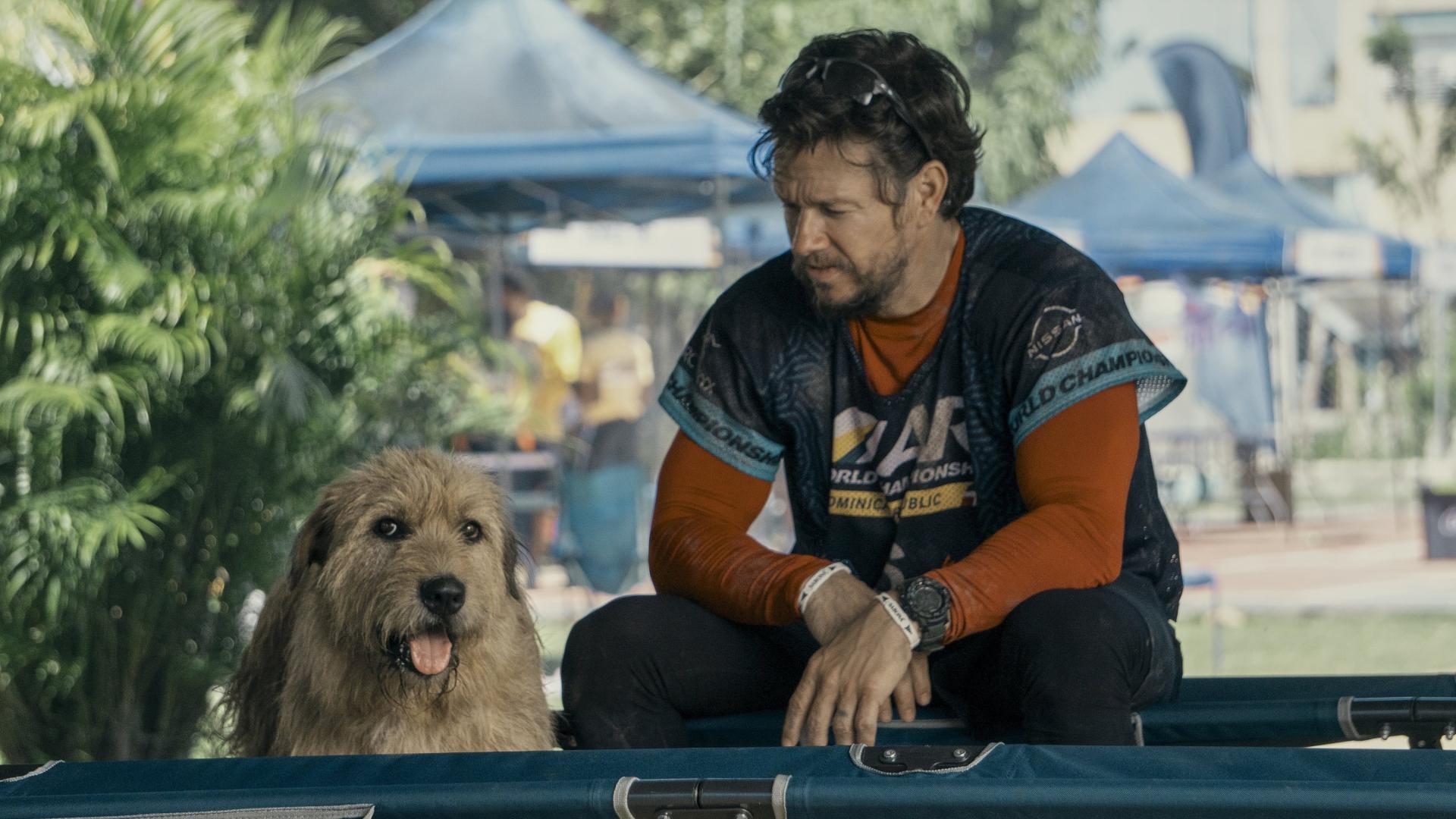 فیلم Arthur the King 2024 با زیرنویس چسبیده