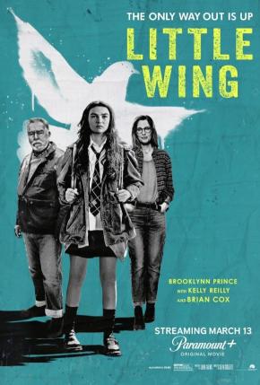 دانلود فیلم Little Wing 2024